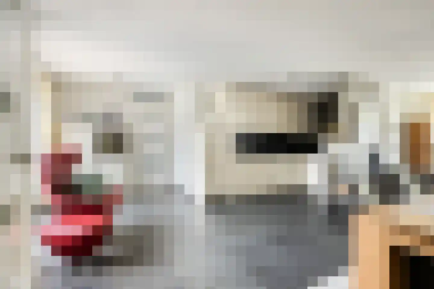Jo Calsstraat 37 Herten thumbnail 8