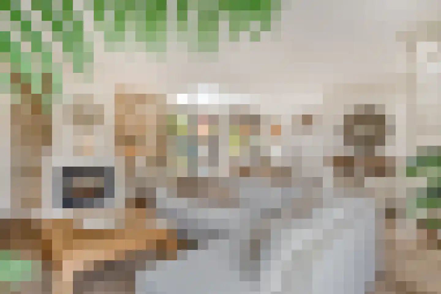 Jo Calsstraat 82 Herten thumbnail 13
