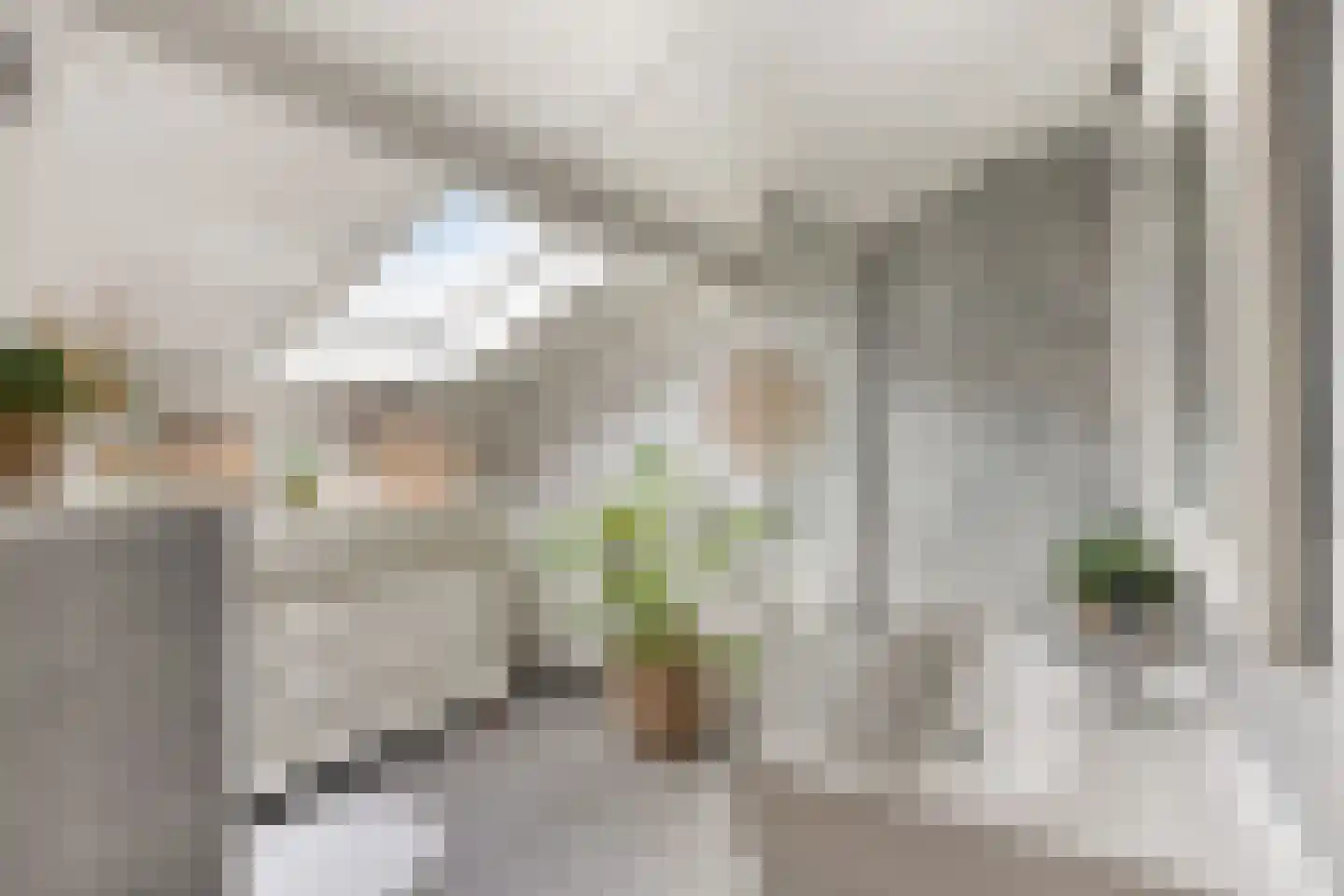 Jo Calsstraat 82 Herten thumbnail 44