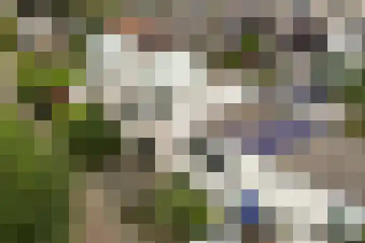 Jo de Grootstraat 24 Apeldoorn thumbnail 31