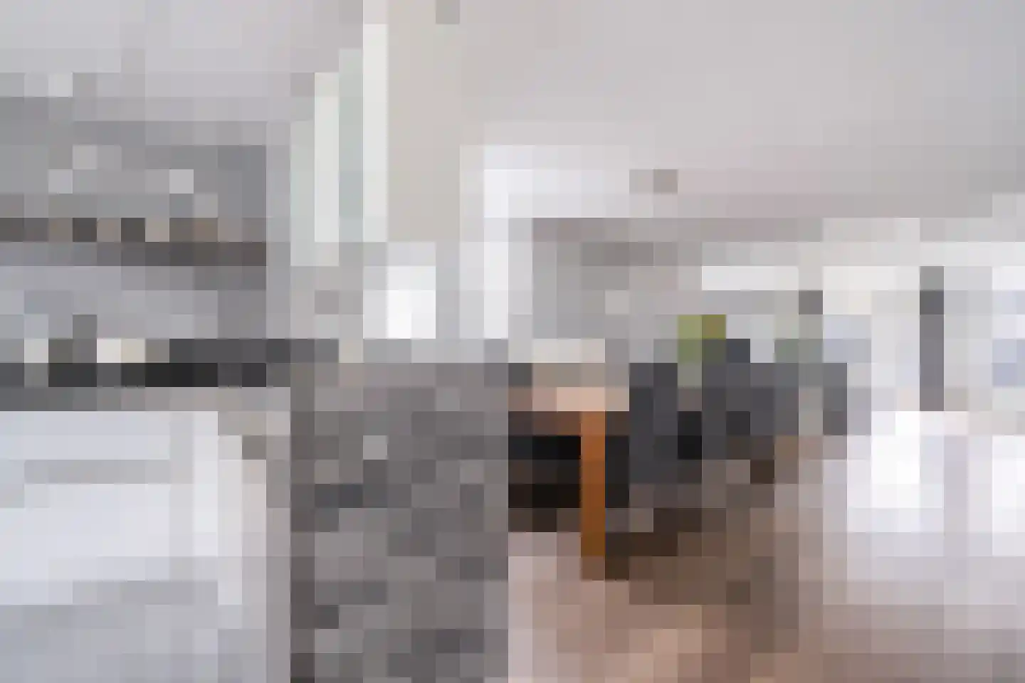Jo de Grootstraat 7 Apeldoorn thumbnail 13