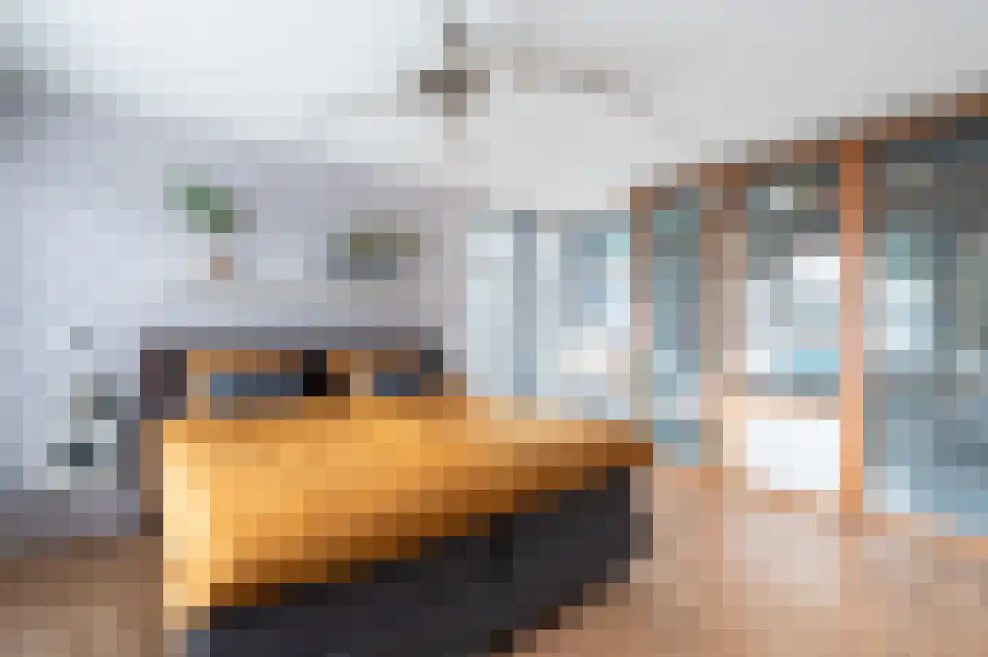 Jo de Grootstraat 7 Apeldoorn thumbnail 21