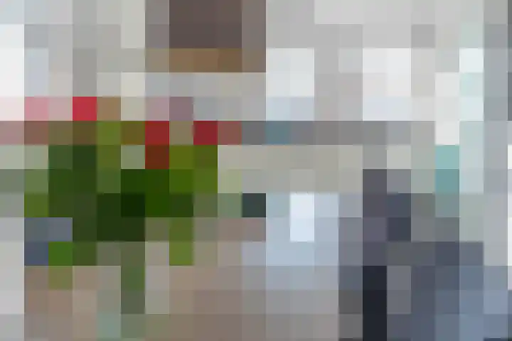 Jo de Kuperstraat 19 Maashees thumbnail 21