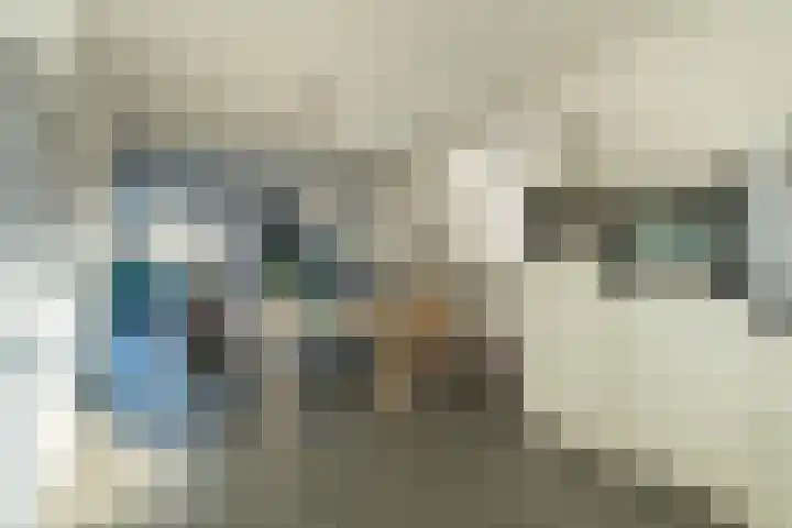 Jo de Kuperstraat 19 Maashees thumbnail 23