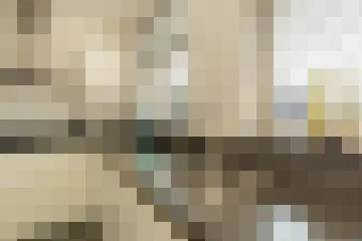 Jo de Kuperstraat 19 Maashees thumbnail 24