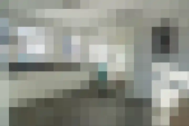 Jo de Kuperstraat 19 Maashees thumbnail 25