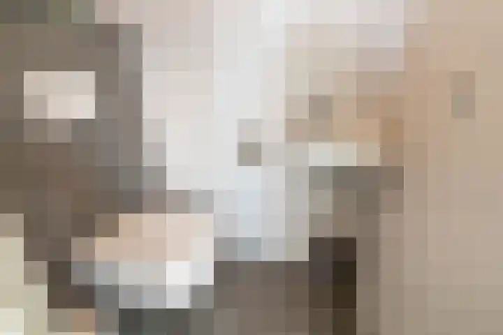 Jo de Kuperstraat 19 Maashees thumbnail 28