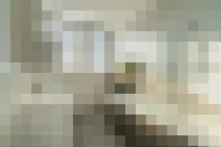 Jo de Kuperstraat 19 Maashees thumbnail 33