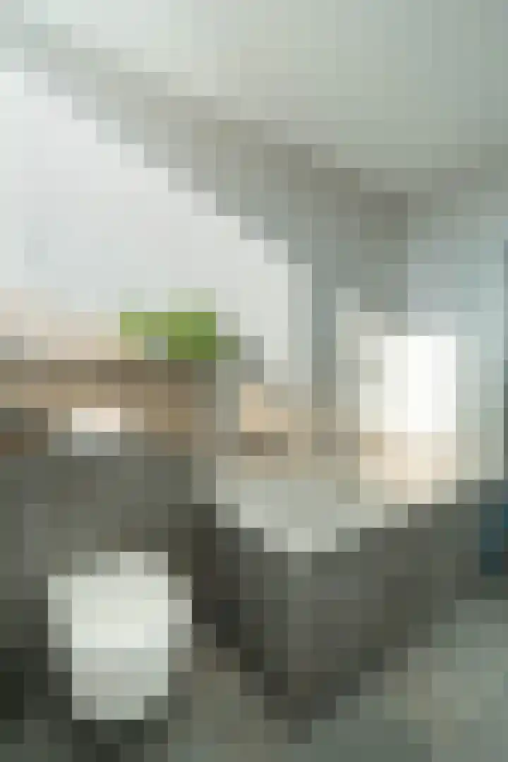 Jo de Kuperstraat 19 Maashees thumbnail 36