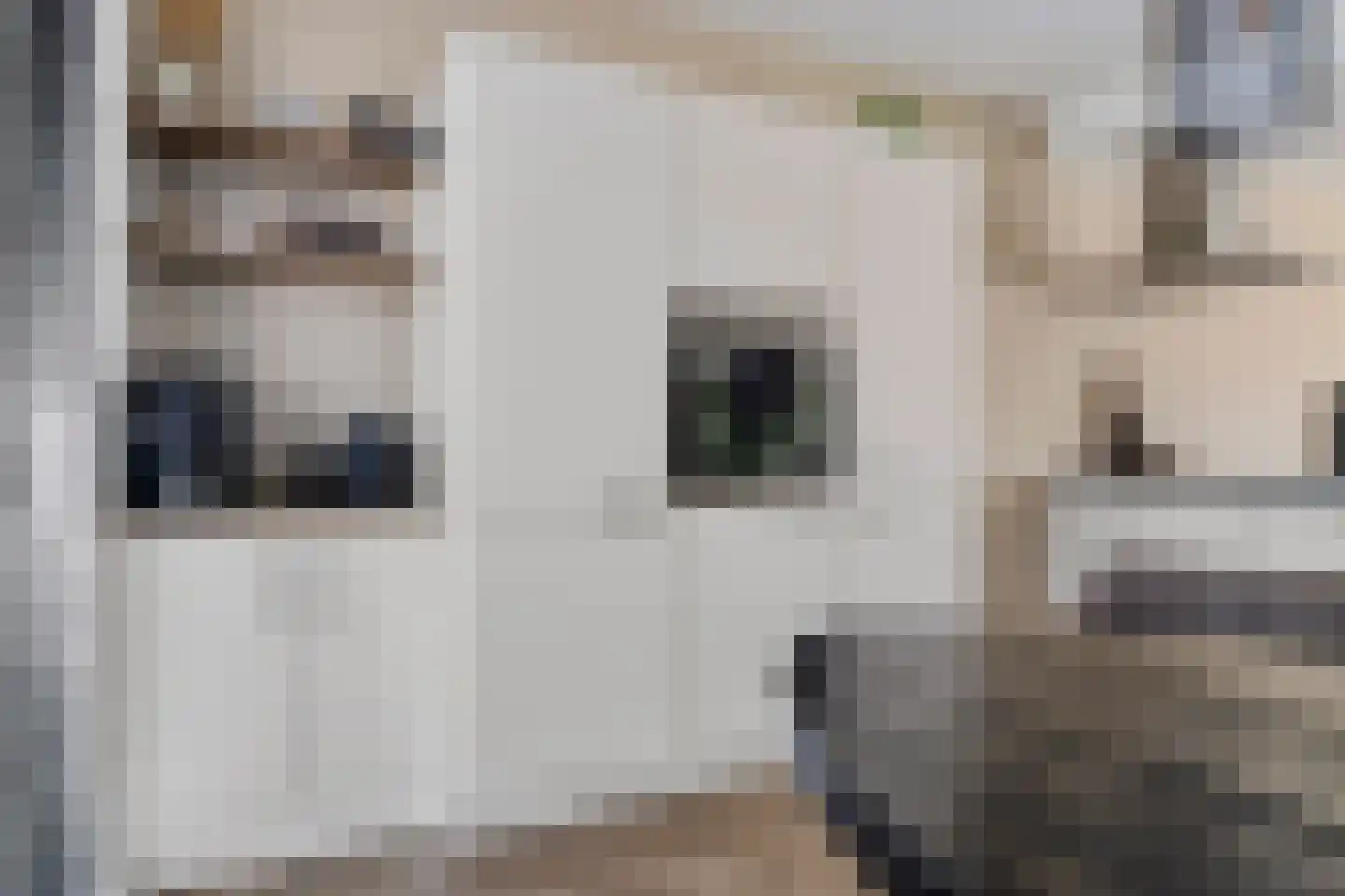 Jo de Kuperstraat 3 Maashees thumbnail 14