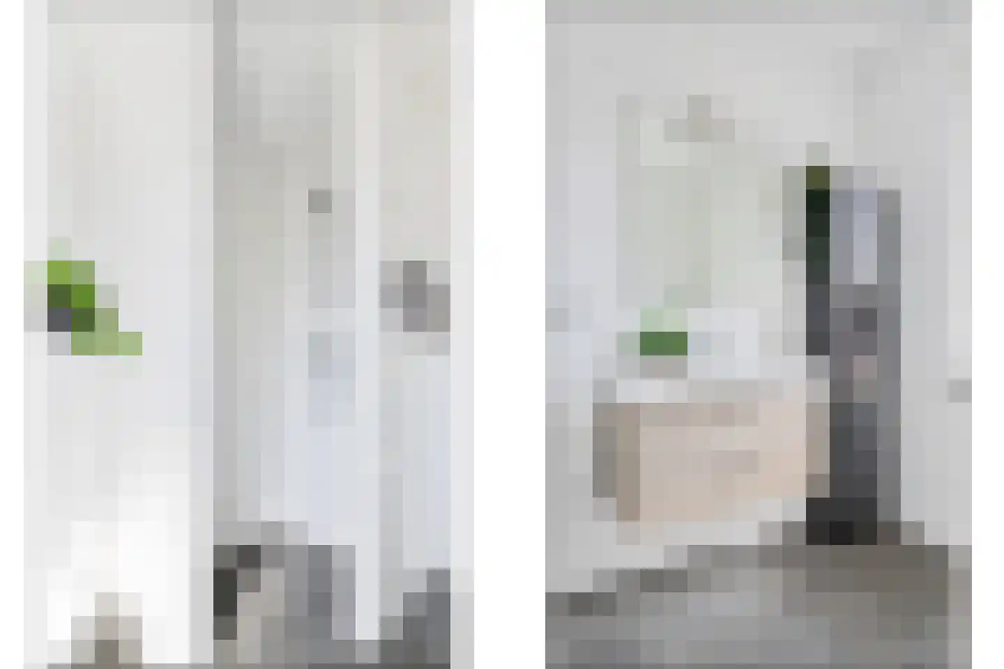Jo de Kuperstraat 3 Maashees thumbnail 28
