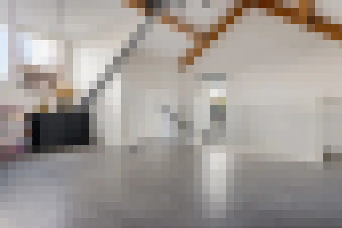 Jo de Kuperstraat 3 Maashees thumbnail 32