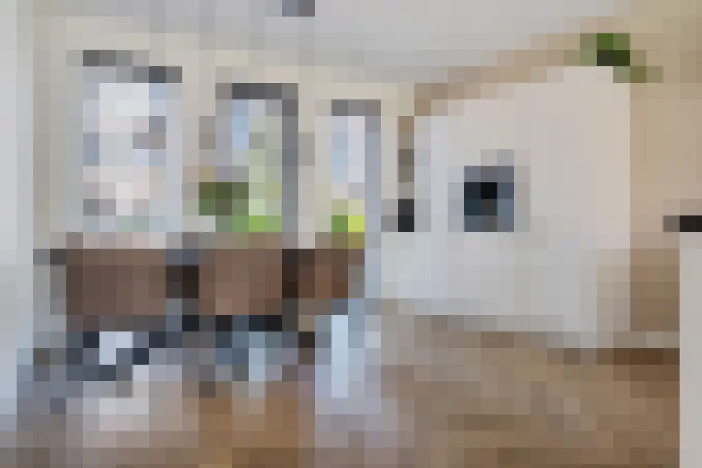 Jo de Kuperstraat 3 Maashees thumbnail 5