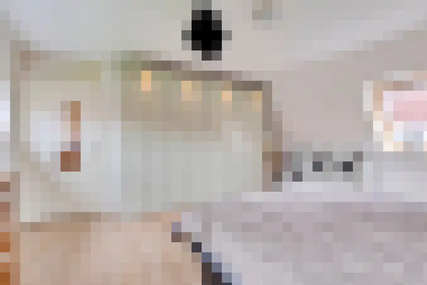 Jo Imminkstraat 9 Castricum thumbnail 25