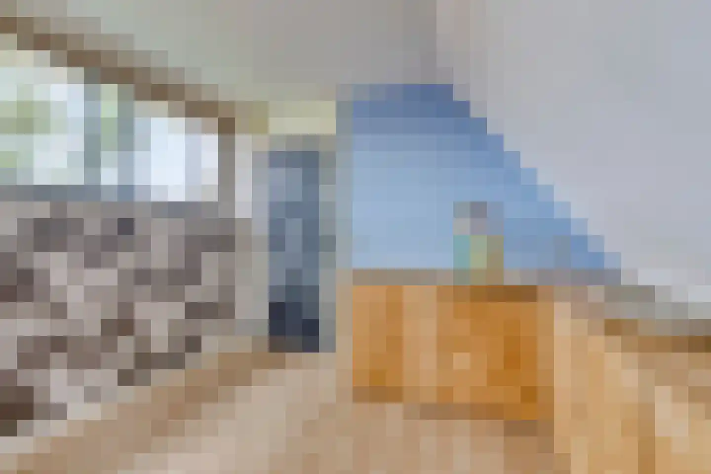 Jo Imminkstraat 9 Castricum thumbnail 29