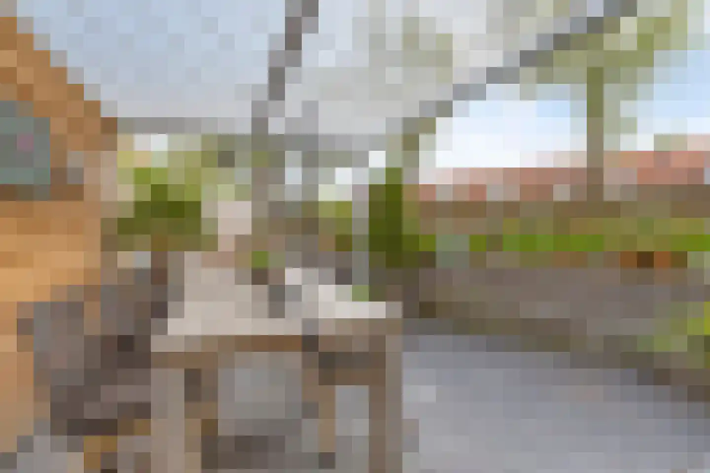 Jo Imminkstraat 9 Castricum thumbnail 31