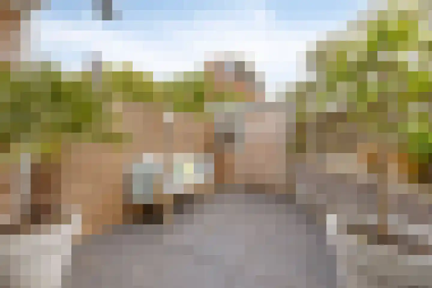 Jo Imminkstraat 9 Castricum thumbnail 33