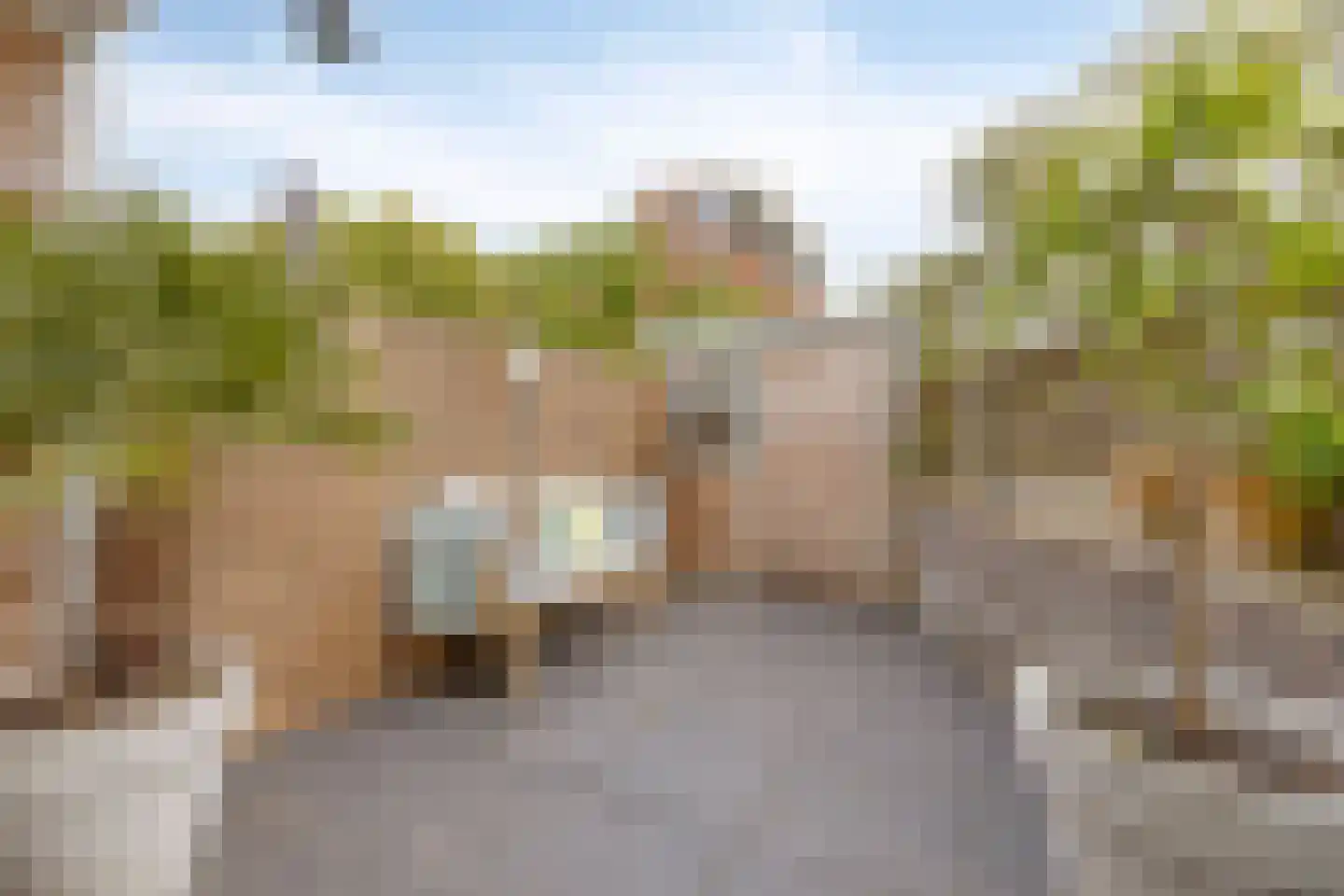 Jo Imminkstraat 9 Castricum thumbnail 35