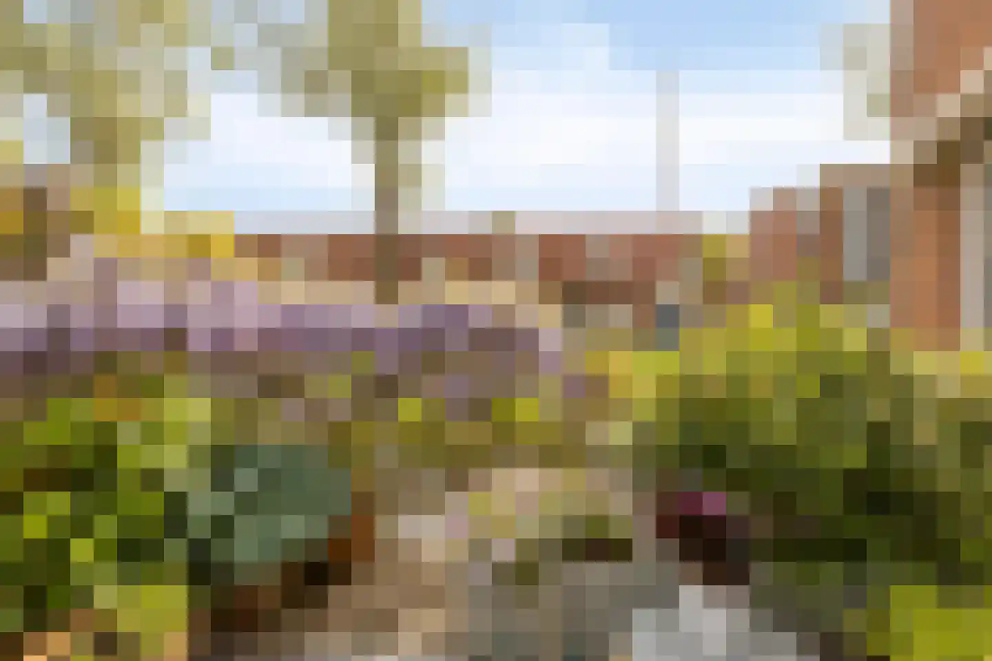 Jo Imminkstraat 9 Castricum thumbnail 36