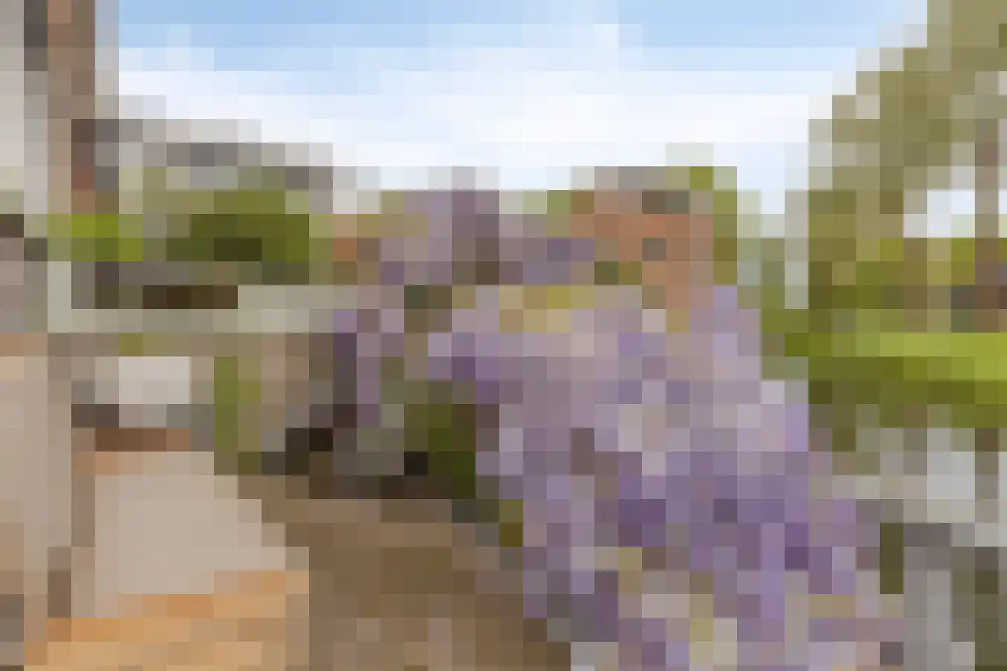Jo Imminkstraat 9 Castricum thumbnail 38
