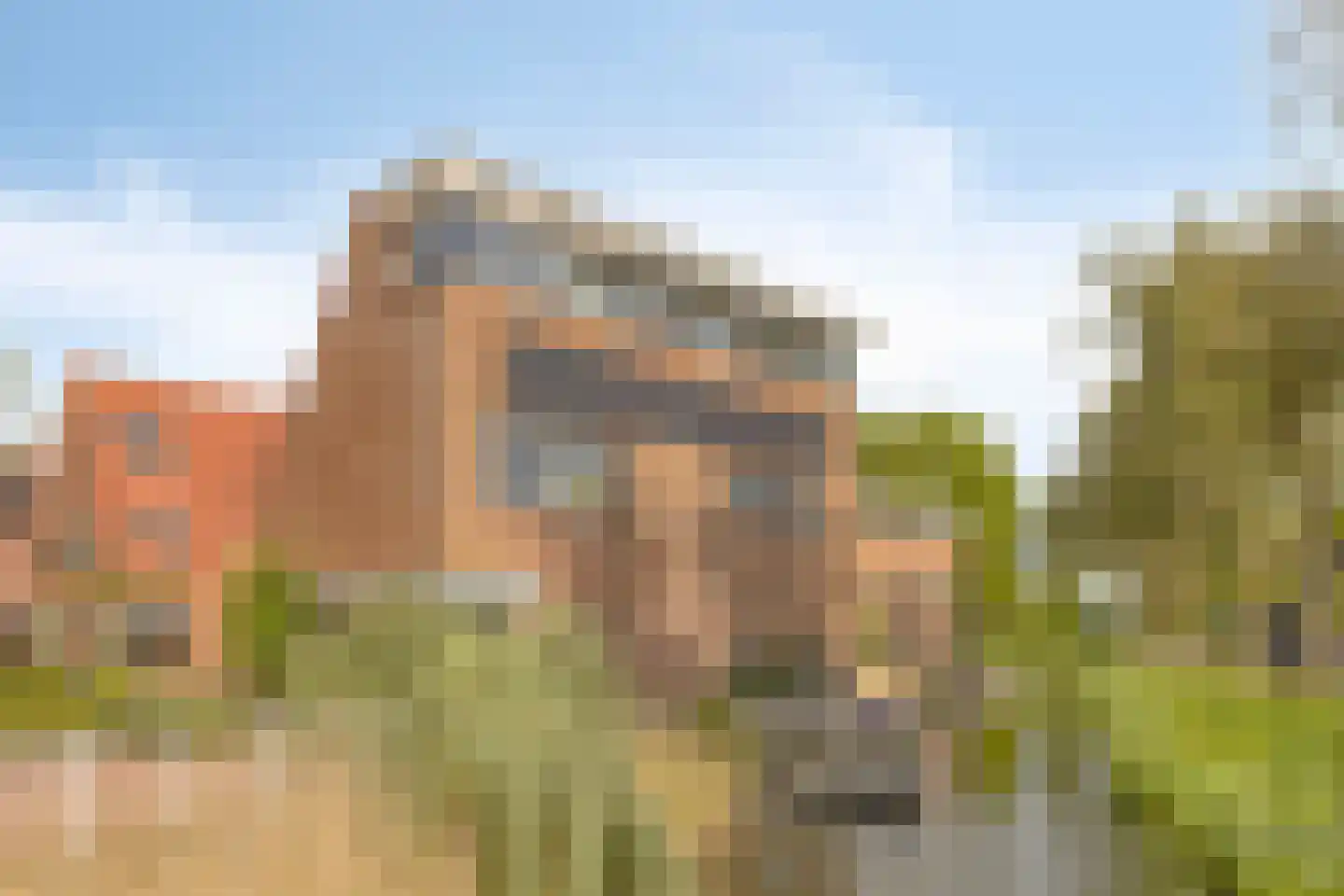 Jo Imminkstraat 9 Castricum thumbnail 39