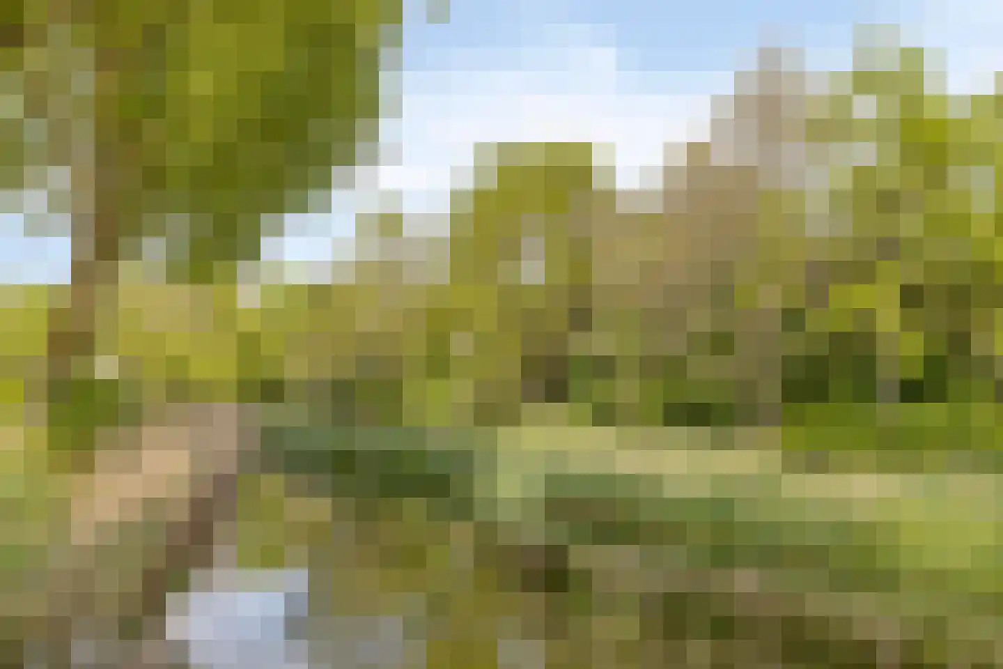 Jo Imminkstraat 9 Castricum thumbnail 47