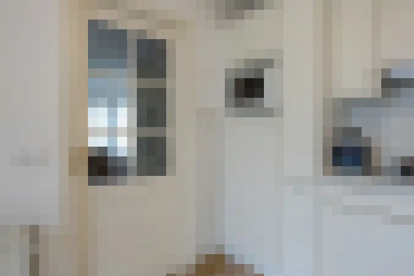 Jo Soeslaan 1 Eindhoven thumbnail 24