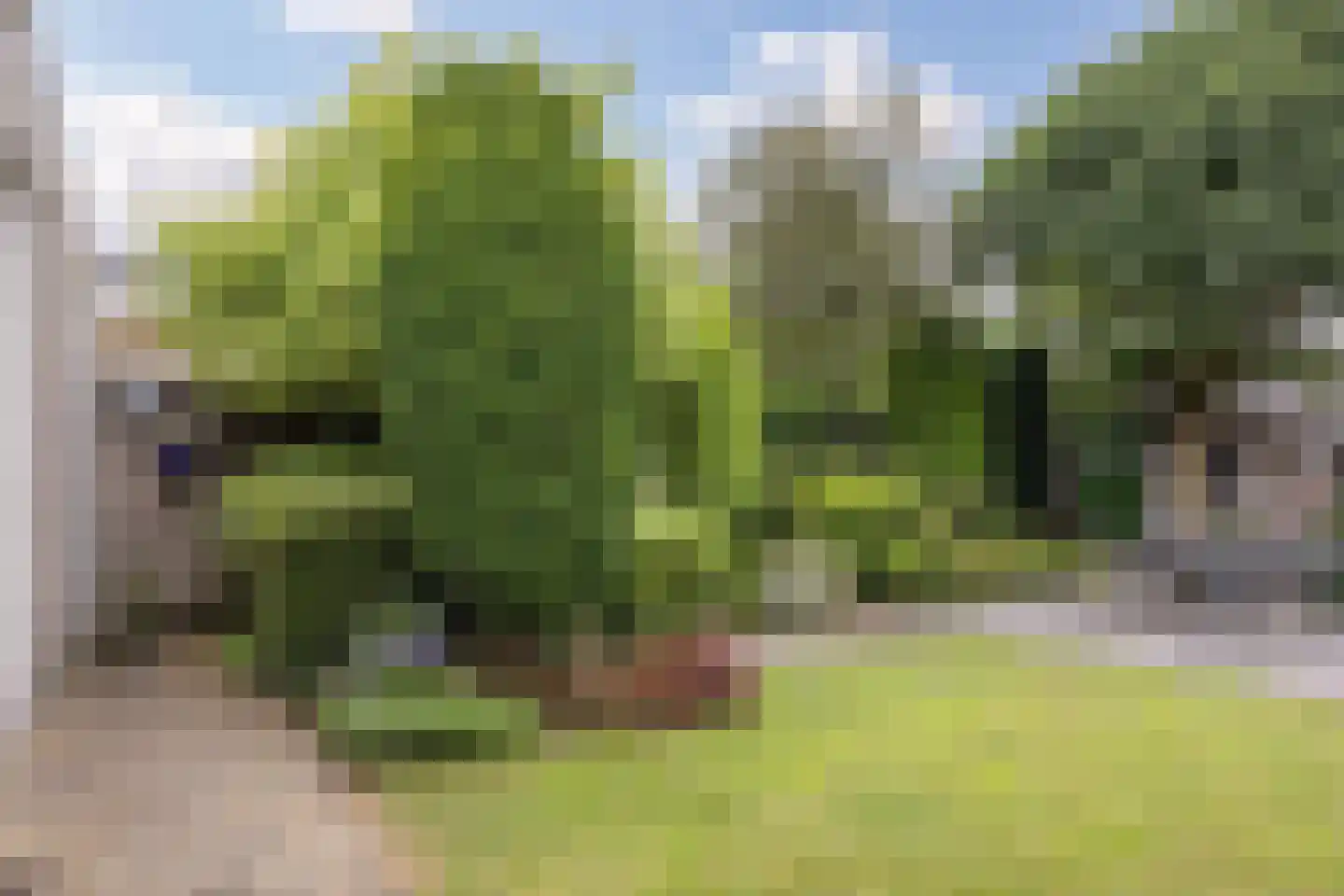 Jo Soeslaan 1 Eindhoven thumbnail 49