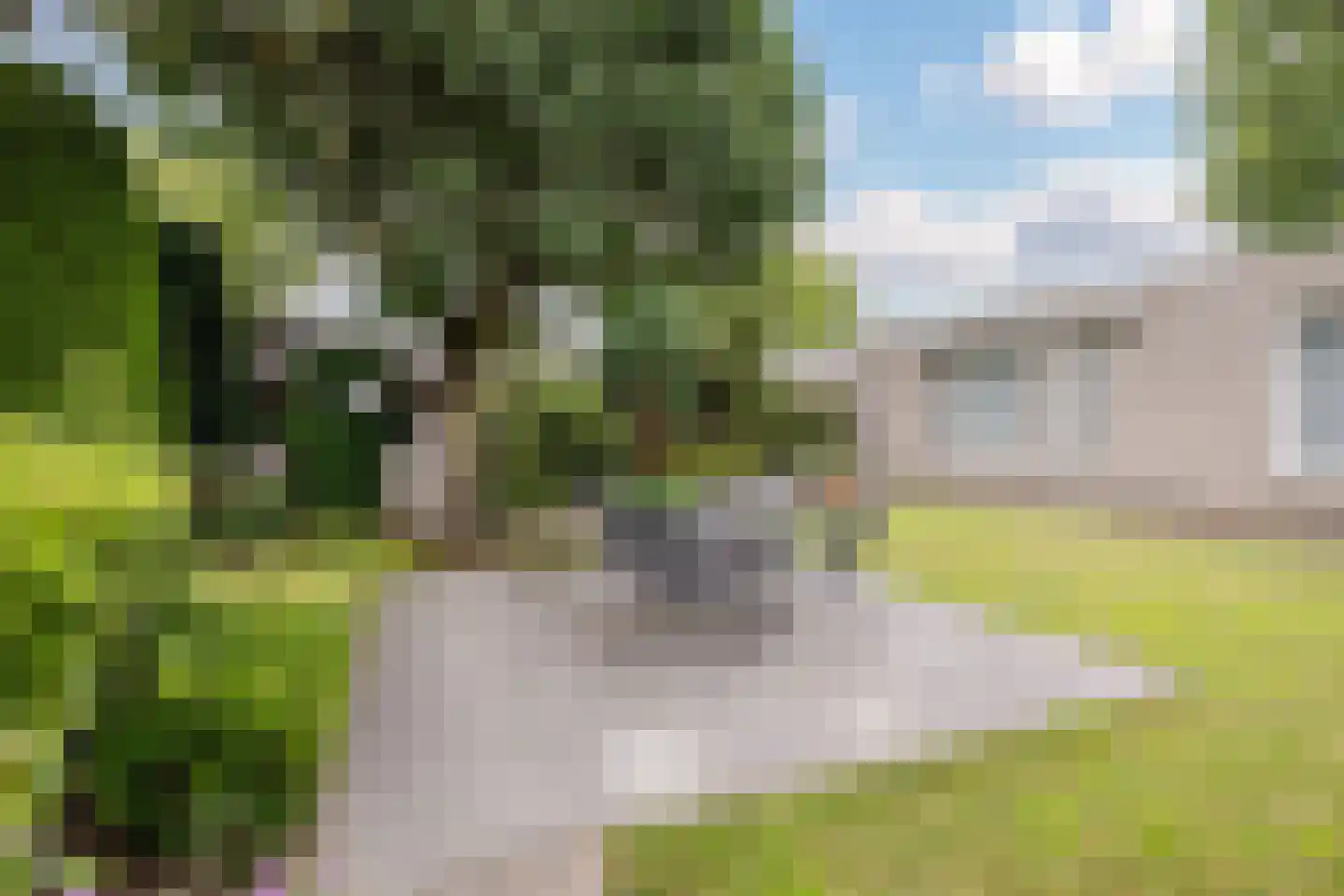 Jo Soeslaan 1 Eindhoven thumbnail 51
