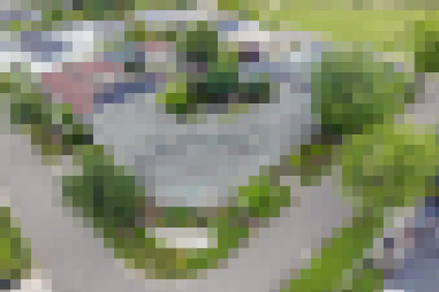 Jo Soeslaan 1 Eindhoven thumbnail 54