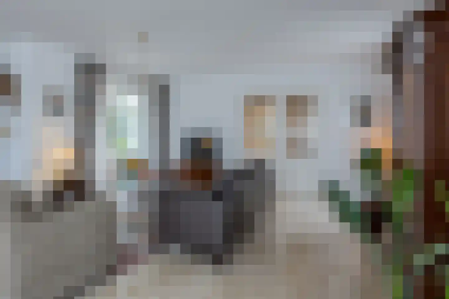 Jo Soeslaan 1 Eindhoven thumbnail 8