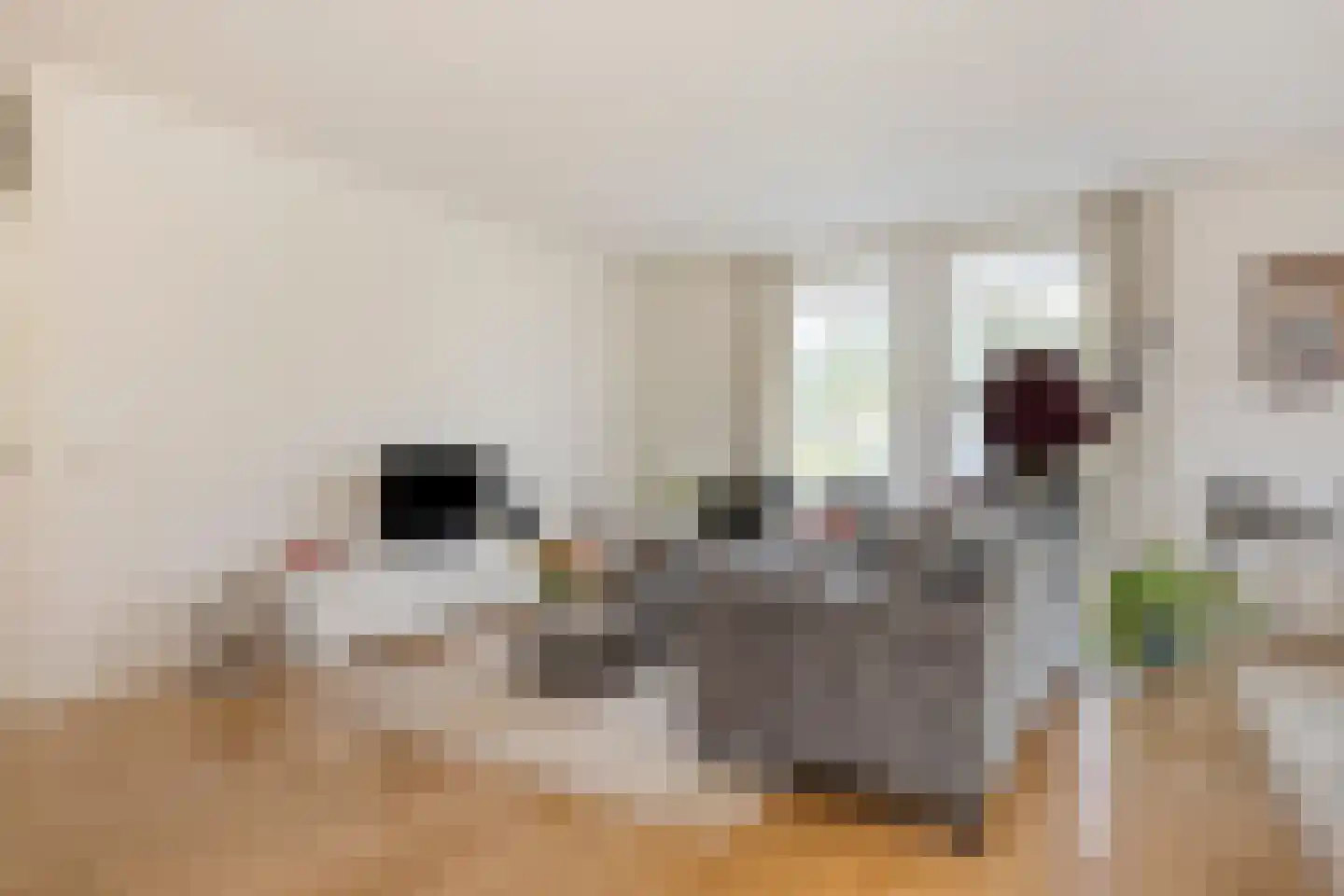 Jo Soeslaan 7 Eindhoven thumbnail 13