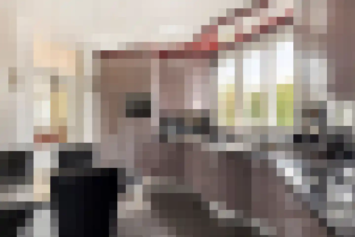 Jo Soeslaan 7 Eindhoven thumbnail 15