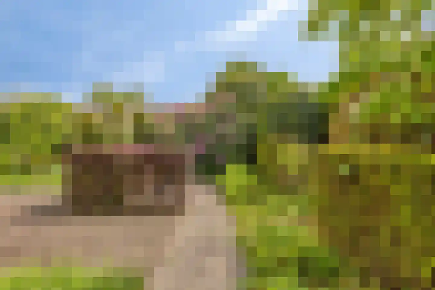 Jo Soeslaan 7 Eindhoven thumbnail 33