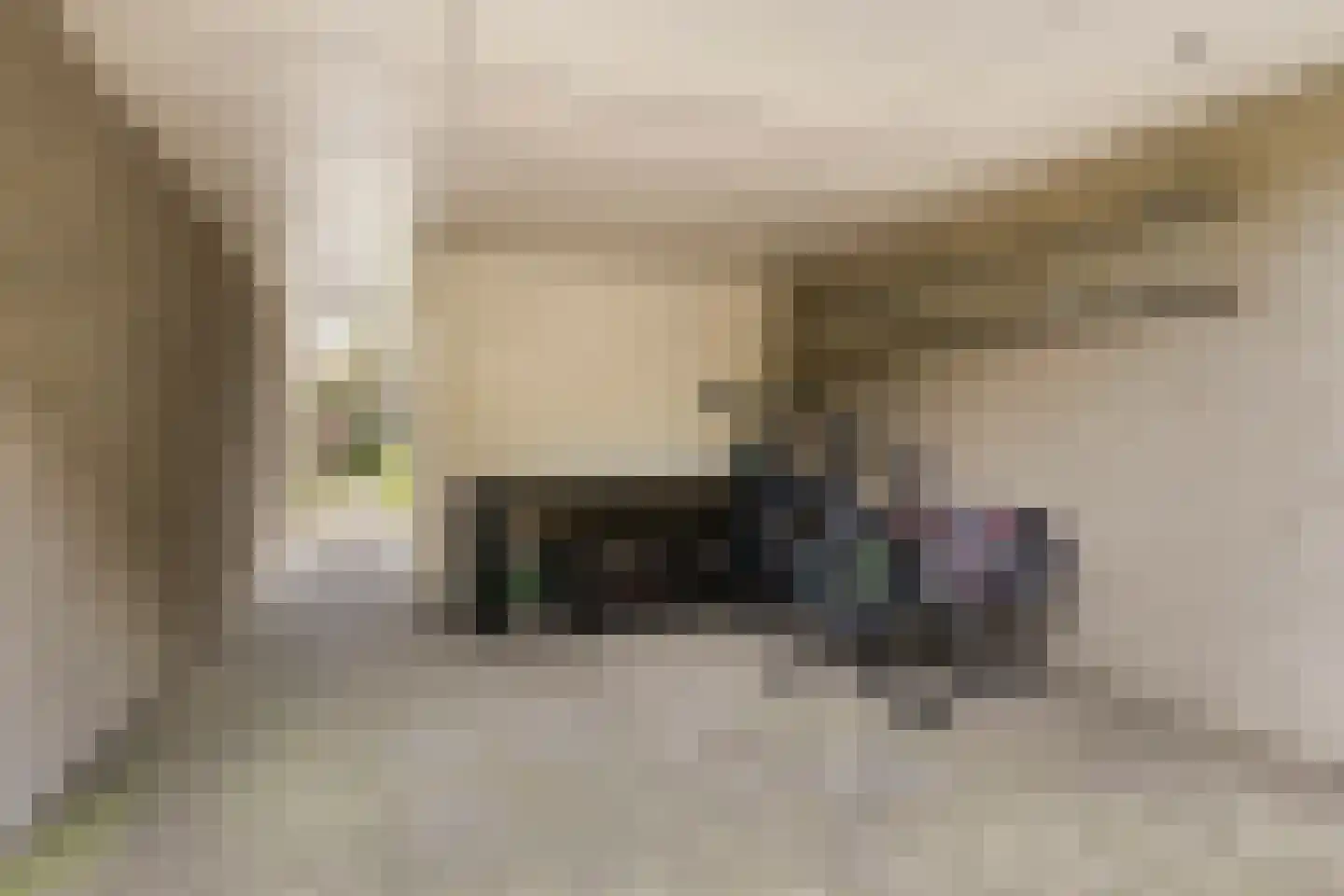 Jo Soeslaan 7 Eindhoven thumbnail 35