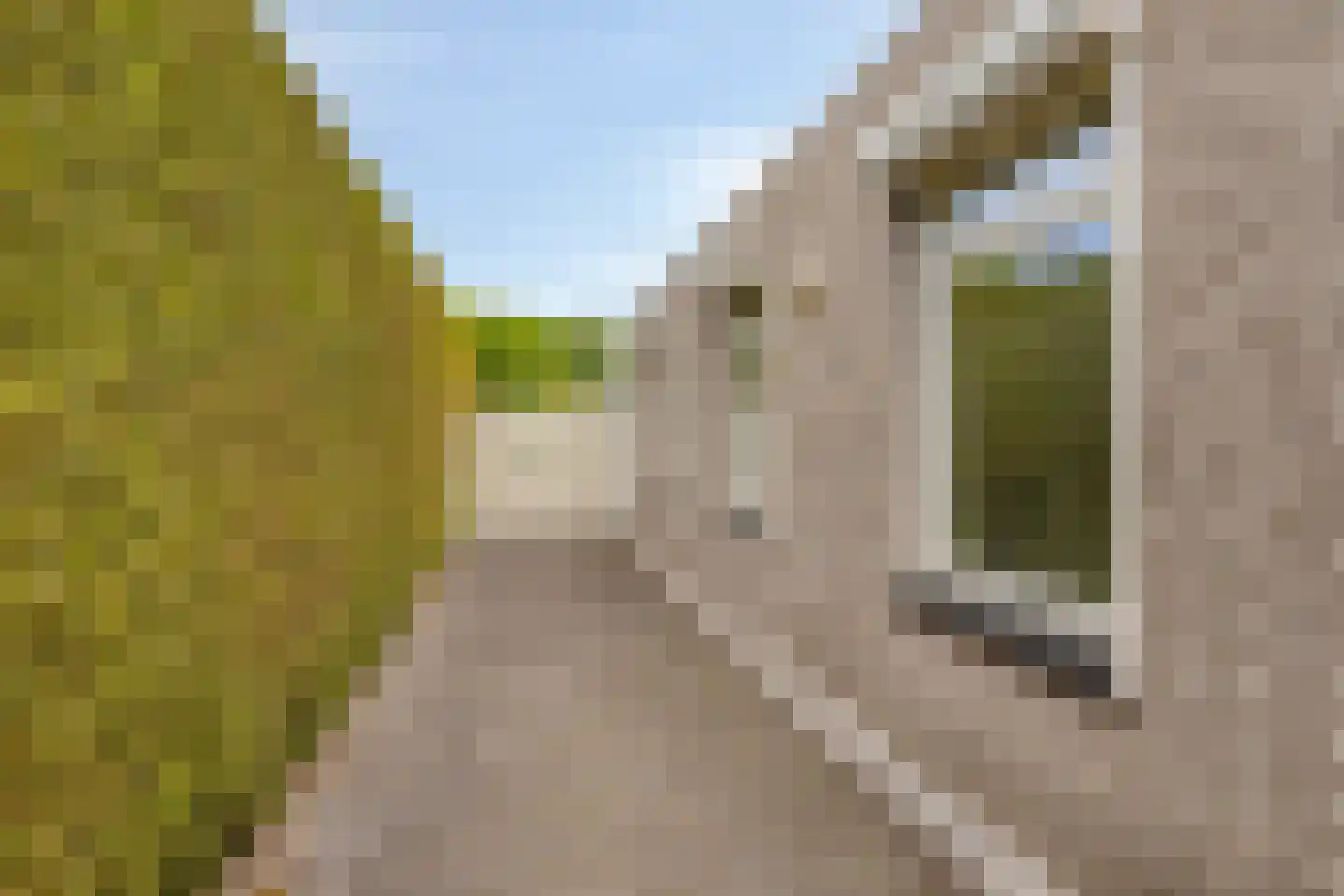 Jo Soeslaan 7 Eindhoven thumbnail 36