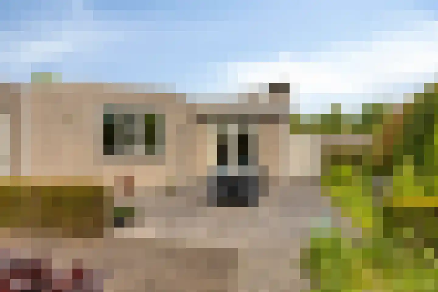 Jo Soeslaan 7 Eindhoven thumbnail 39