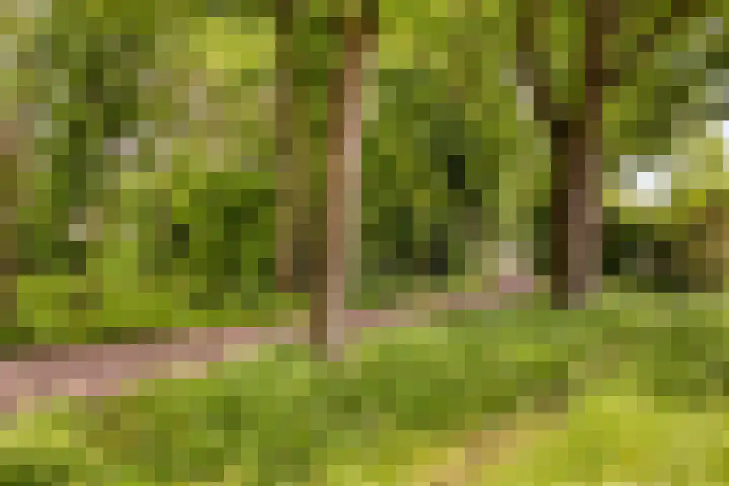 Jo Soeslaan 7 Eindhoven thumbnail 41