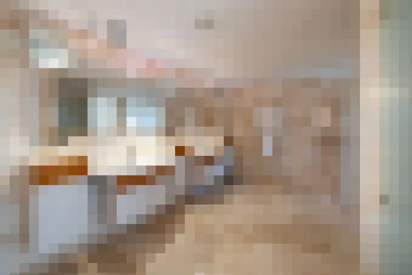 Jo Spierlaan 42 Zutphen thumbnail 35