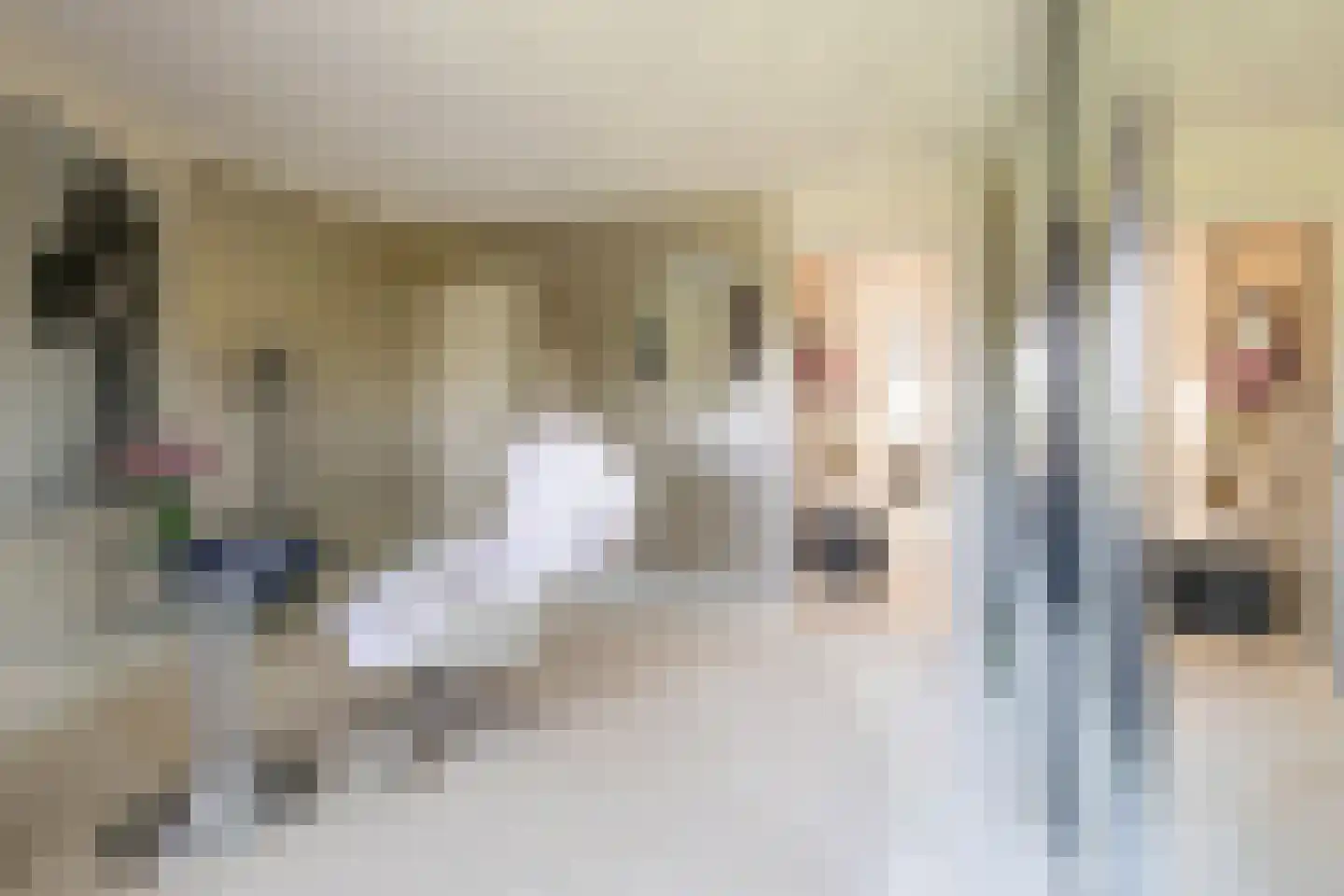 Jo Spierlaan 42 Zutphen thumbnail 38