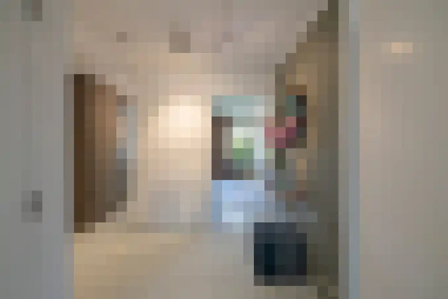 Jo Spierlaan 42 Zutphen thumbnail 40