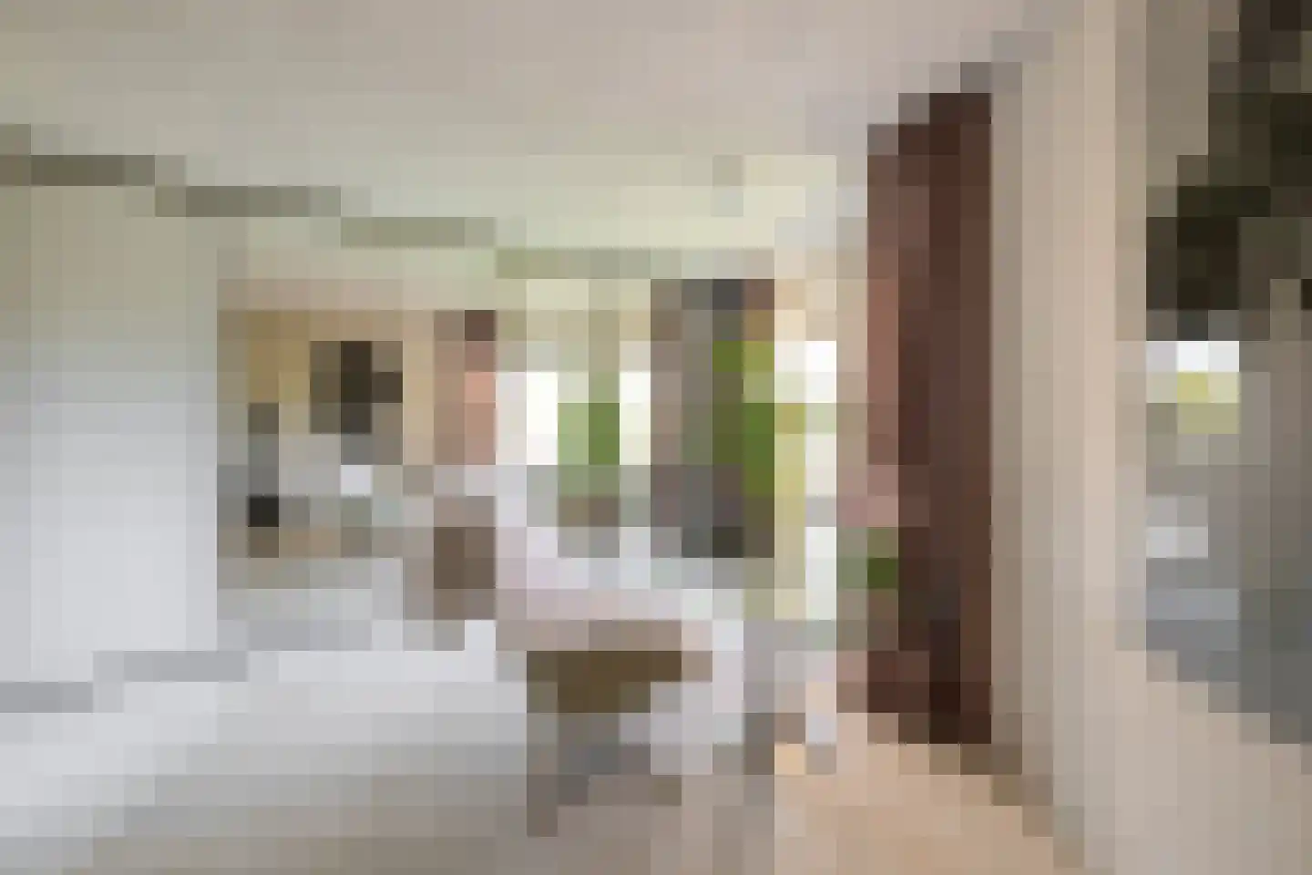 Jo Spierlaan 42 Zutphen thumbnail 46