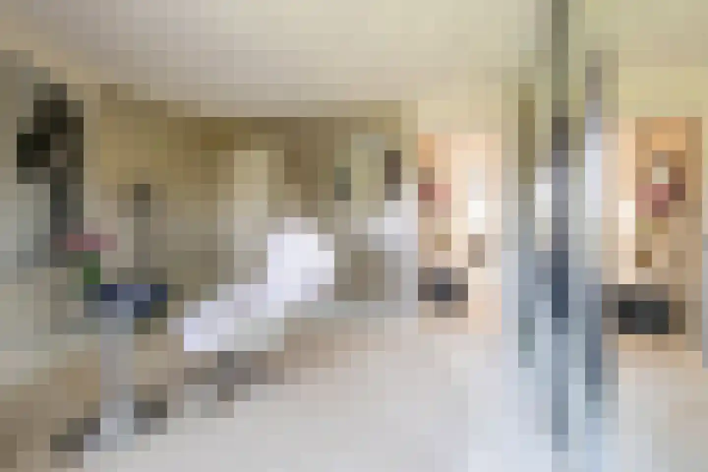Jo Spierlaan 42 Zutphen thumbnail 47