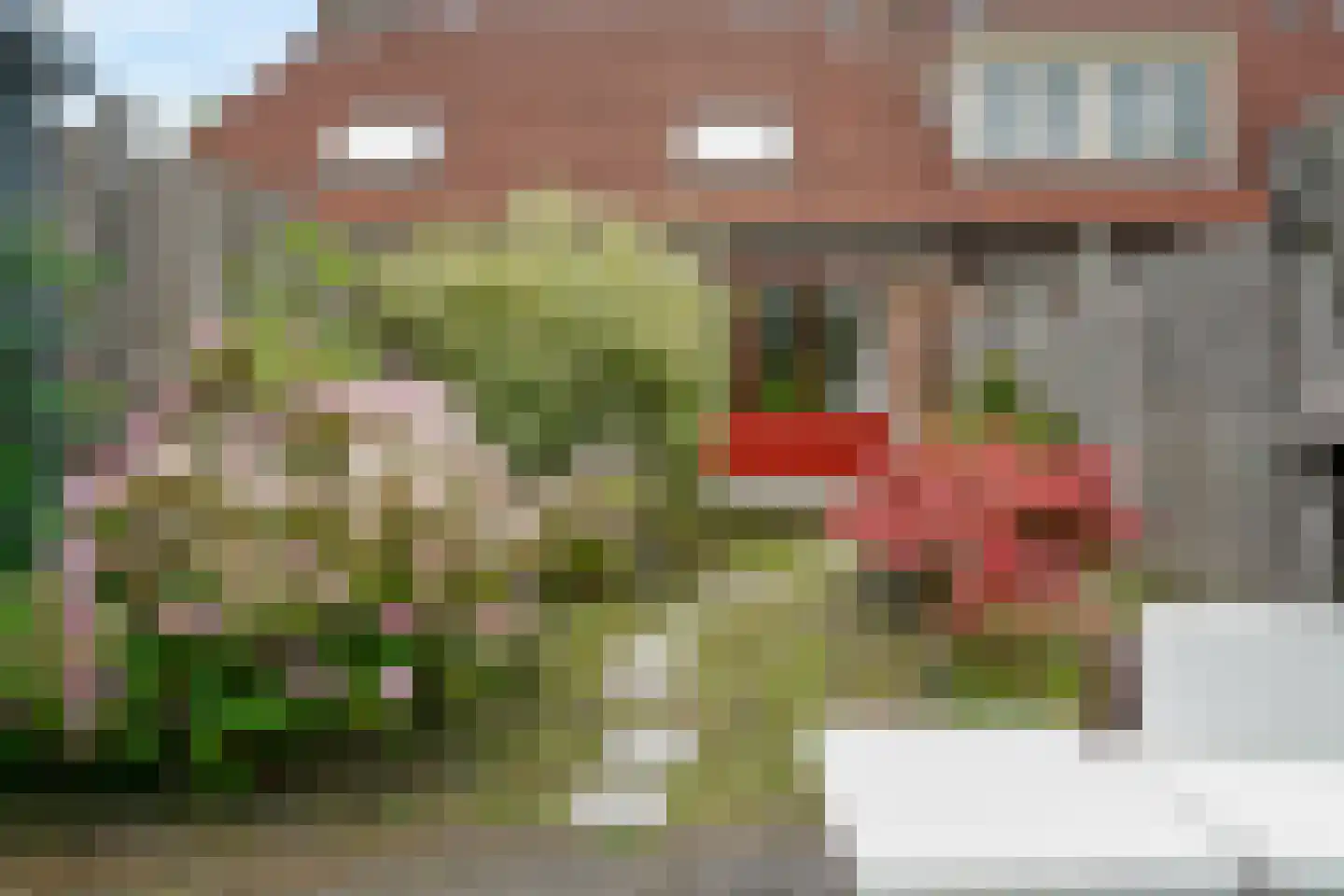 Jo Sterckstraat 21 Haarlem thumbnail 12