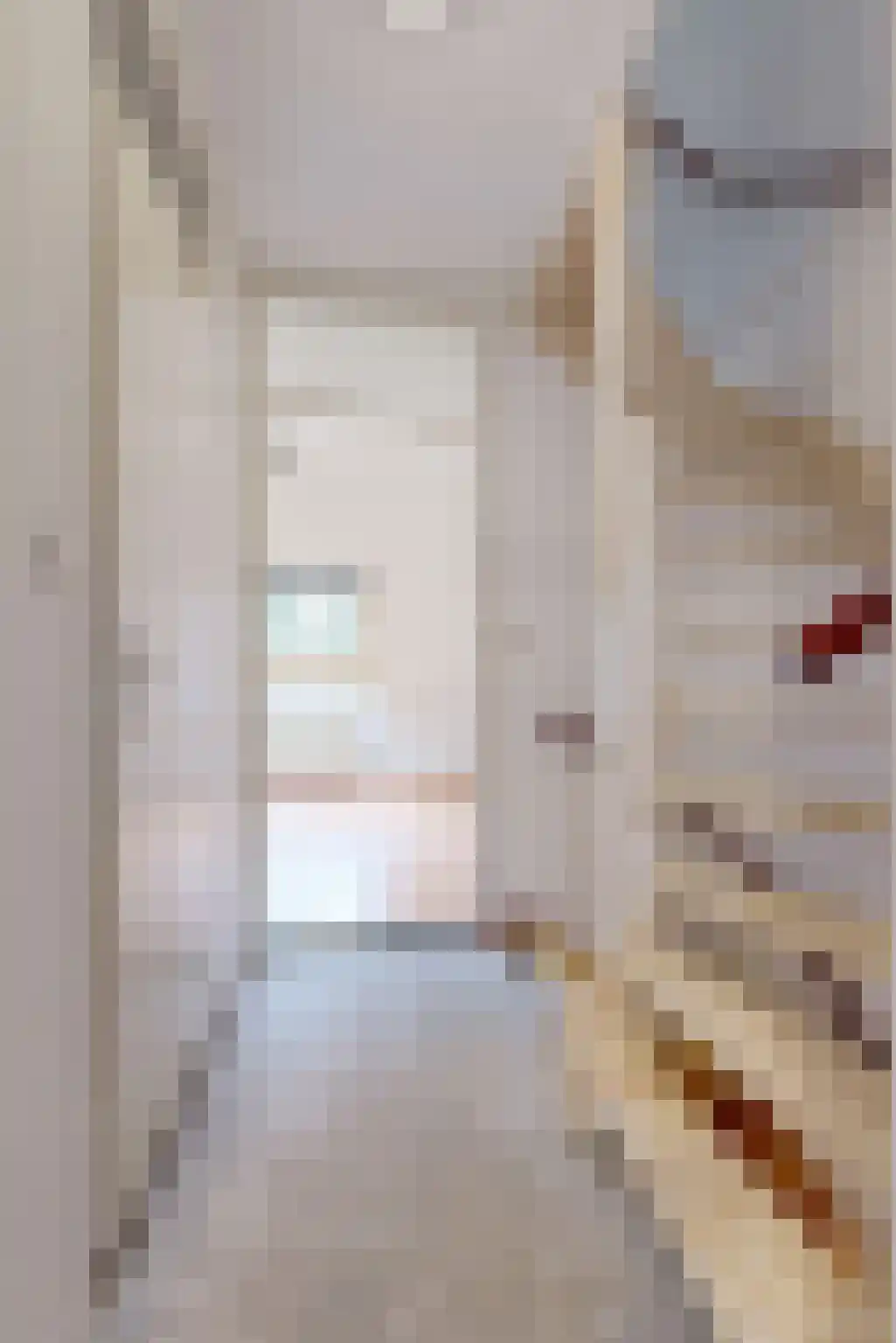 Jo Sterckstraat 21 Haarlem thumbnail 27