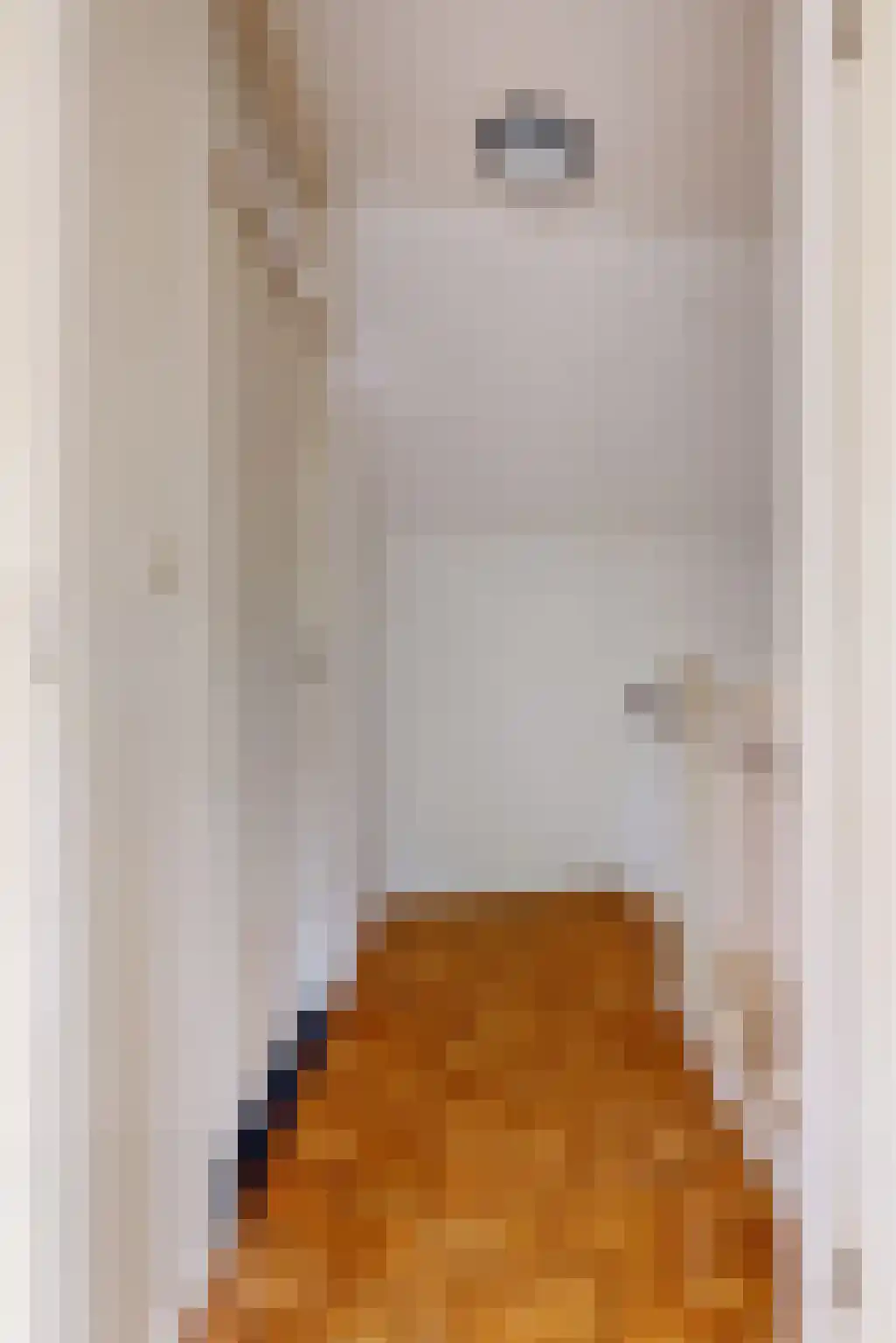 Jo Sterckstraat 21 Haarlem thumbnail 34