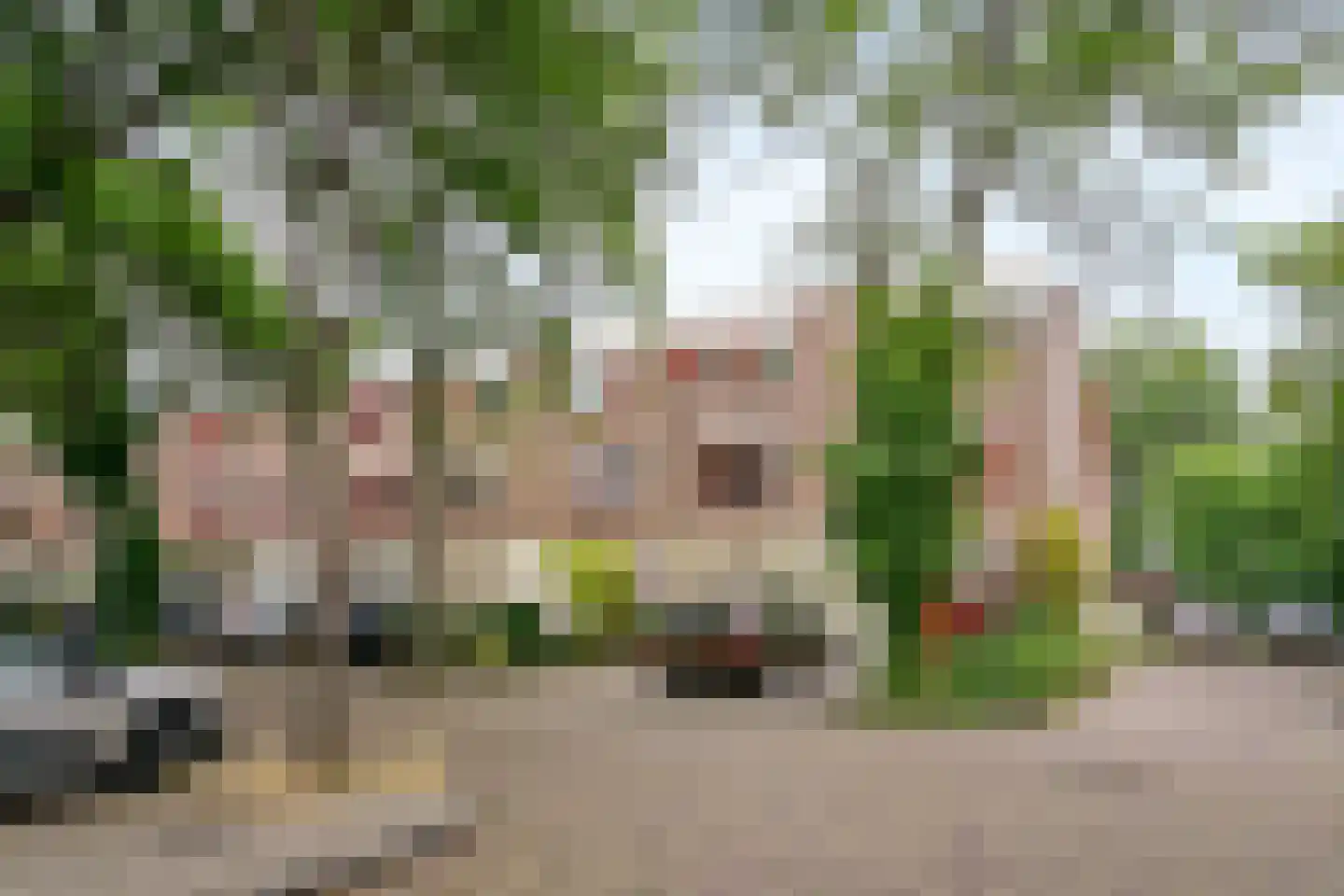 Jo Sterckstraat 21 Haarlem thumbnail 5