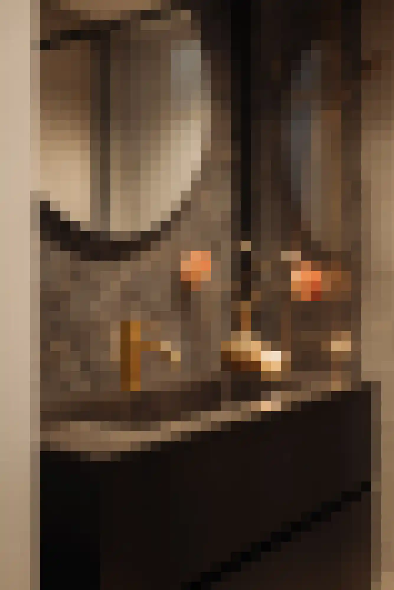 Jo Sterckstraat 48 Haarlem thumbnail 23