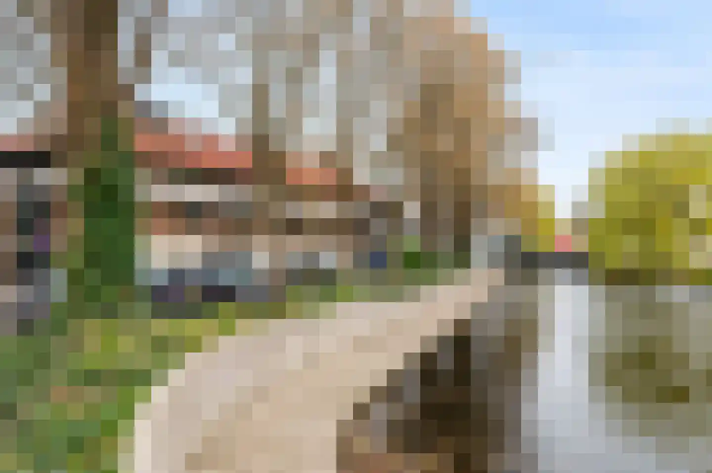 Jo Sterckstraat 66 Haarlem thumbnail 34