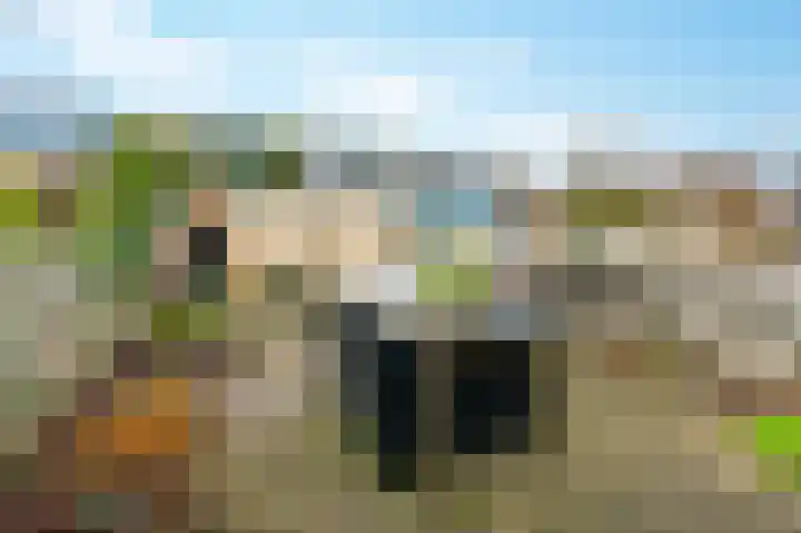 Jo Vincentlaan 10 Amstelveen thumbnail 4